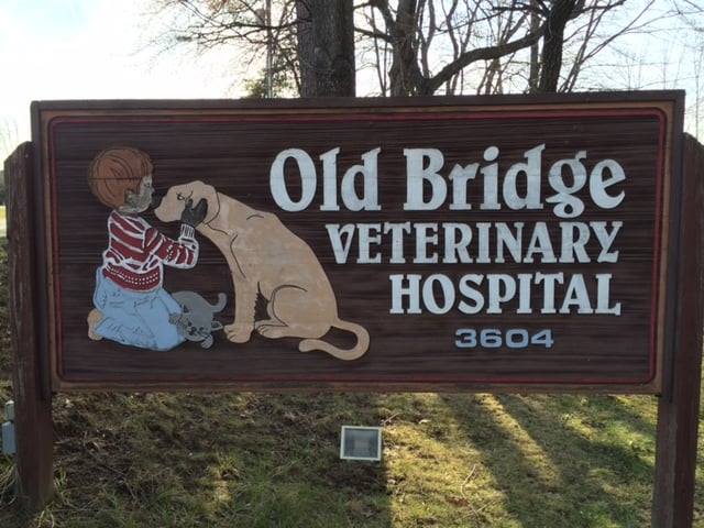 Old Bridge Veterinary Hospital (OBVH 