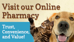Online Pharmacy for OBVH through Vet’s First Choice